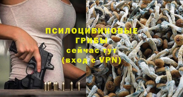 стаф Михайлов
